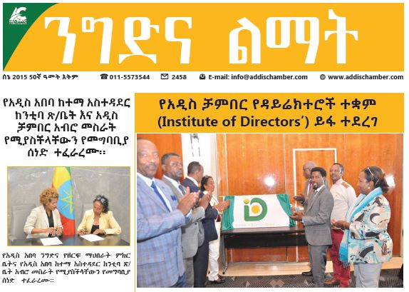 June Amharic Newspaper
