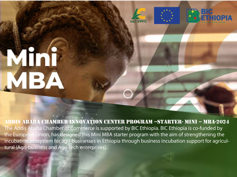 Addis Ababa Chamber Innovation Center Program Starter Mini MBA 2024