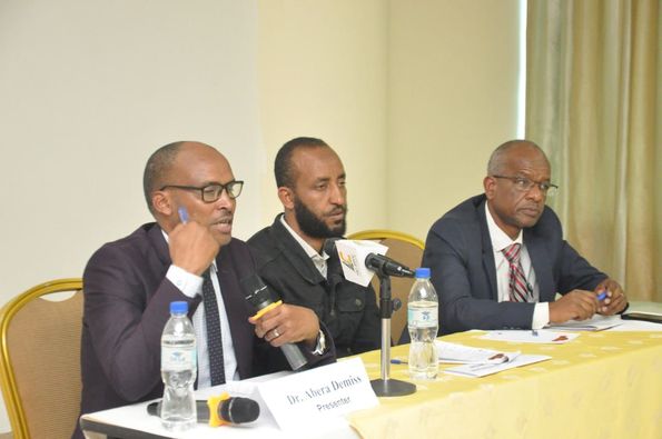 Carbon Tax to Consider Development Needs and National Context, calls for a workshop hosted by Addis Chamber